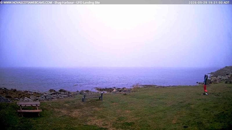 Shag Harbour