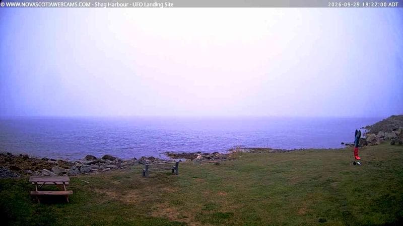 Shag Harbour