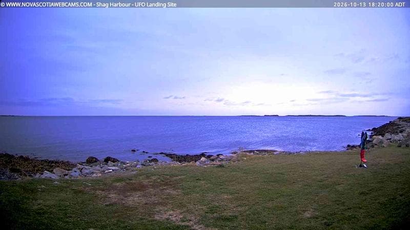 Shag Harbour