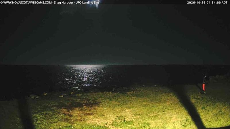 Shag Harbour