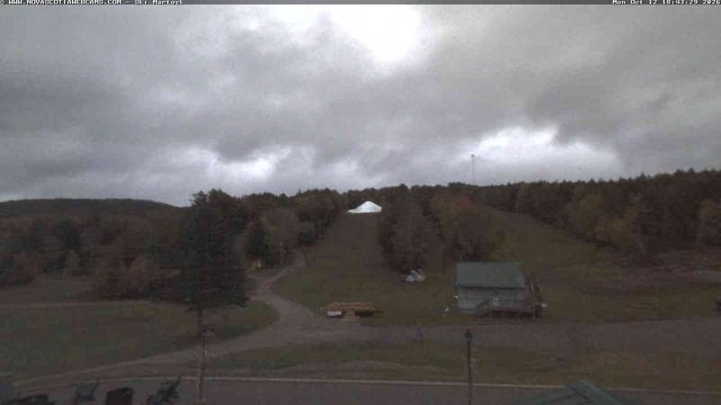 Ski Martock