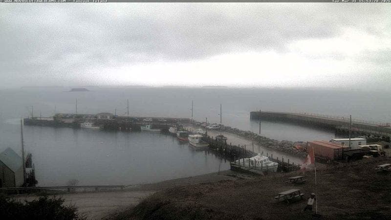 Tancook Island Wharf
