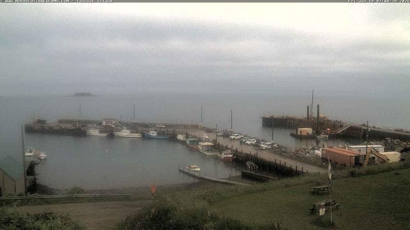 Tancook Island Wharf