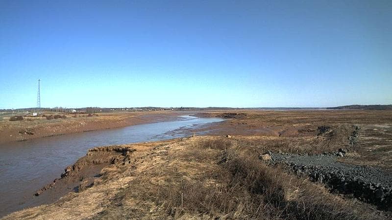 Windsor Salt Marsh