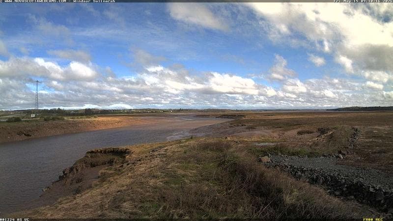 Windsor Salt Marsh