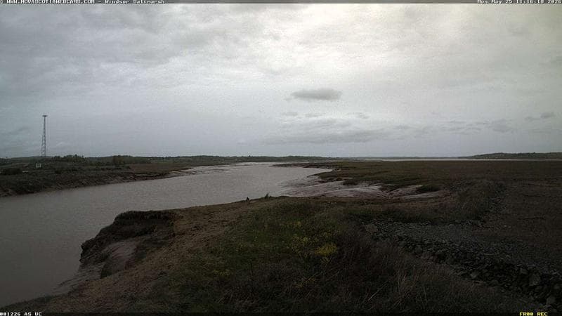 Windsor Salt Marsh