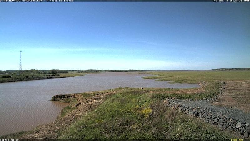 Windsor Salt Marsh