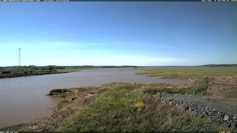 Windsor Salt Marsh