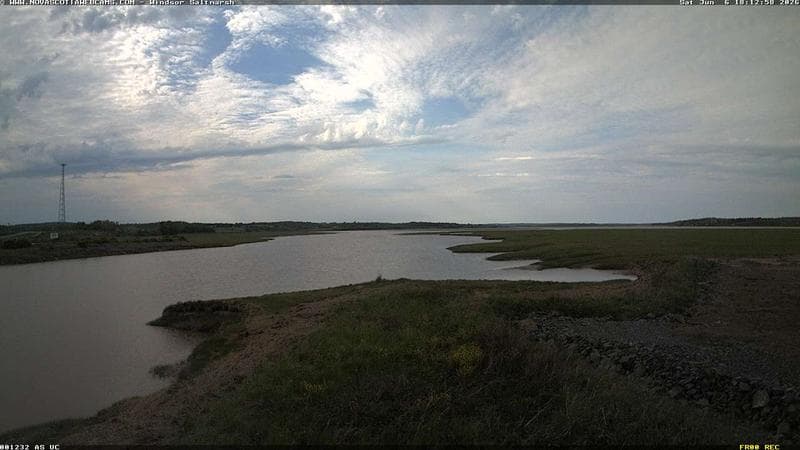 Windsor Salt Marsh