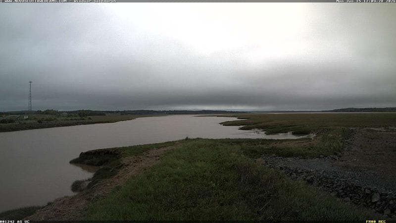 Windsor Salt Marsh