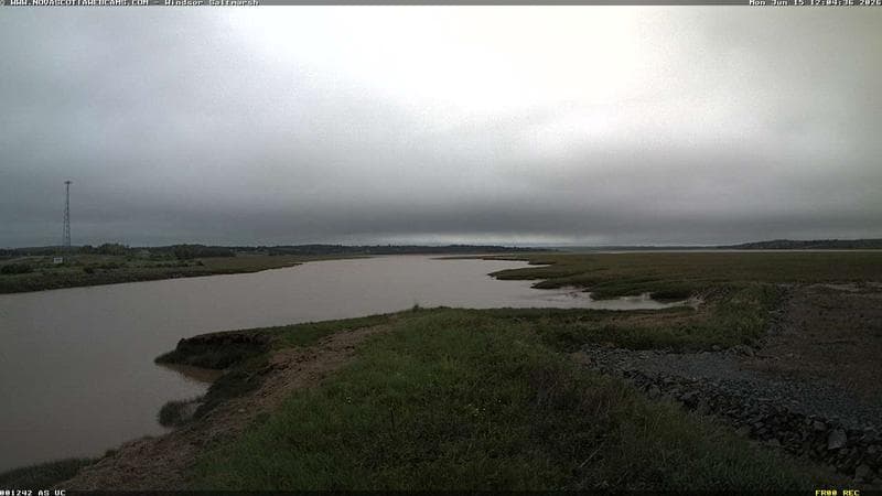 Windsor Salt Marsh