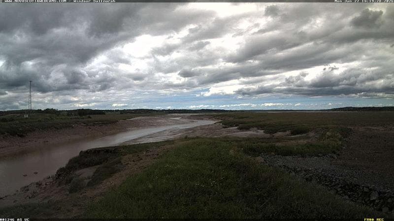 Windsor Salt Marsh