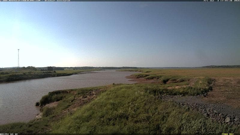 Windsor Salt Marsh