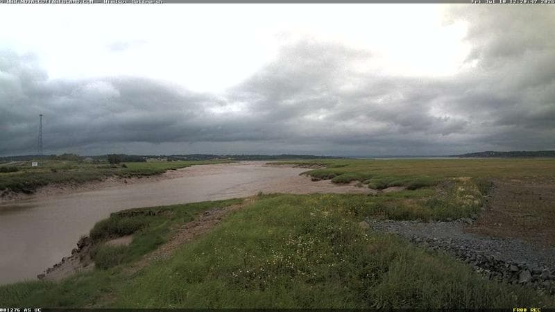 Windsor Salt Marsh