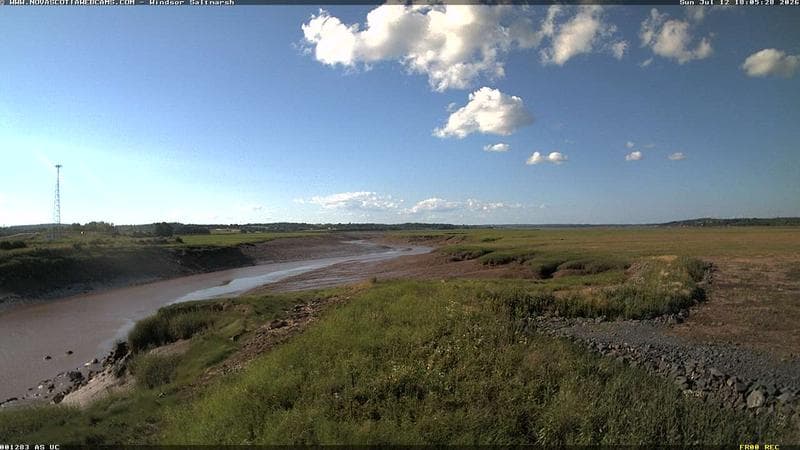 Windsor Salt Marsh