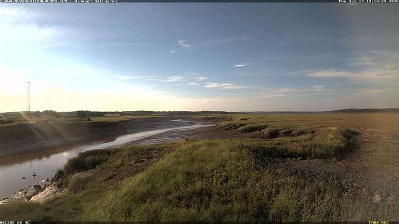 Windsor Salt Marsh