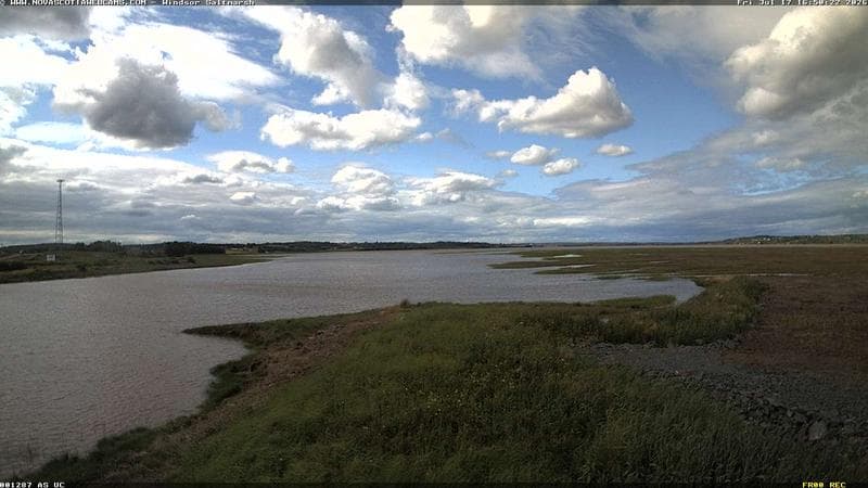 Windsor Salt Marsh