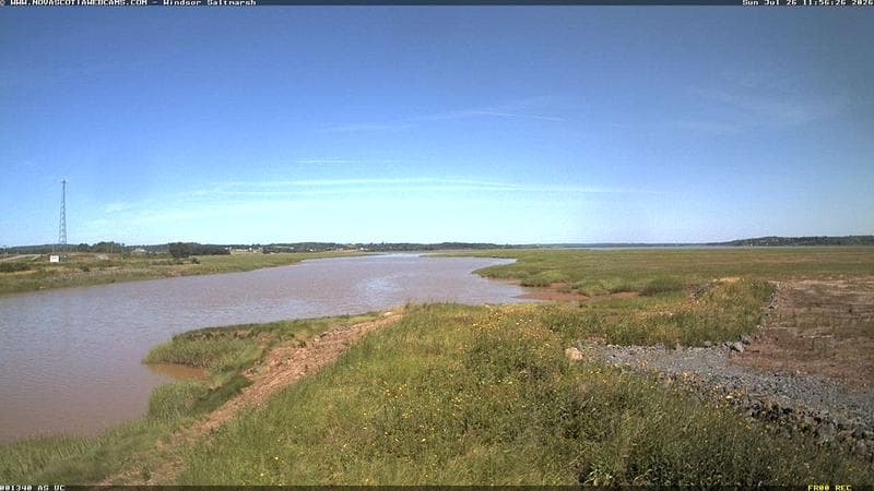 Windsor Salt Marsh
