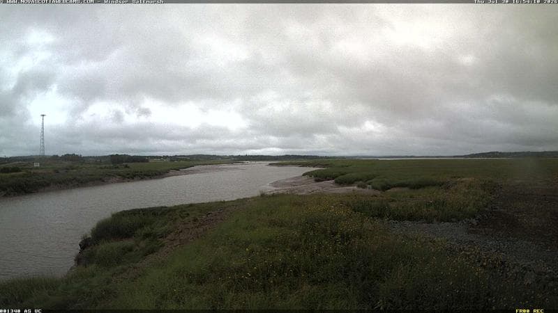 Windsor Salt Marsh