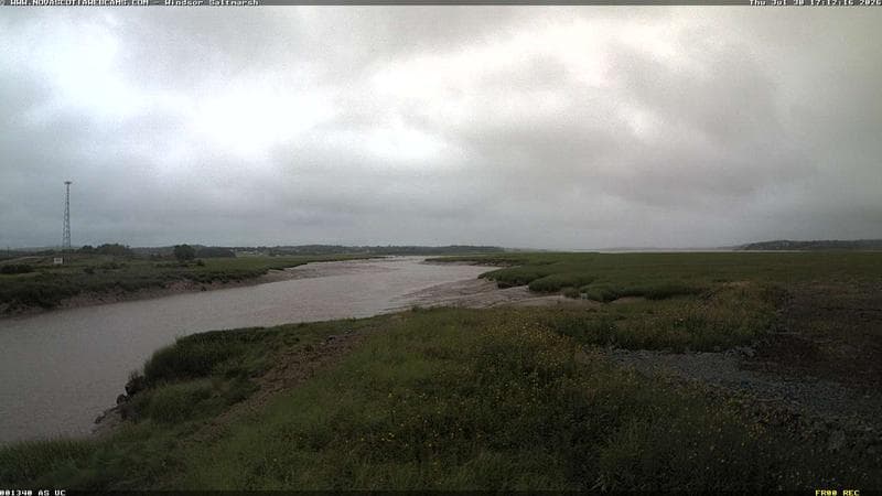 Windsor Salt Marsh