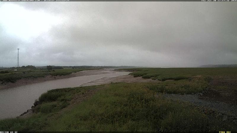 Windsor Salt Marsh