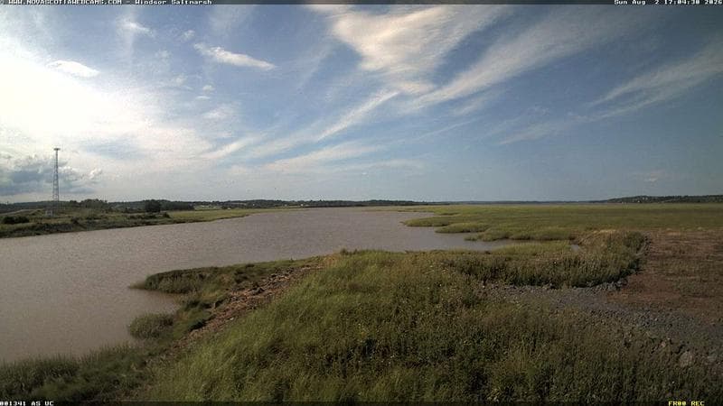 Windsor Salt Marsh