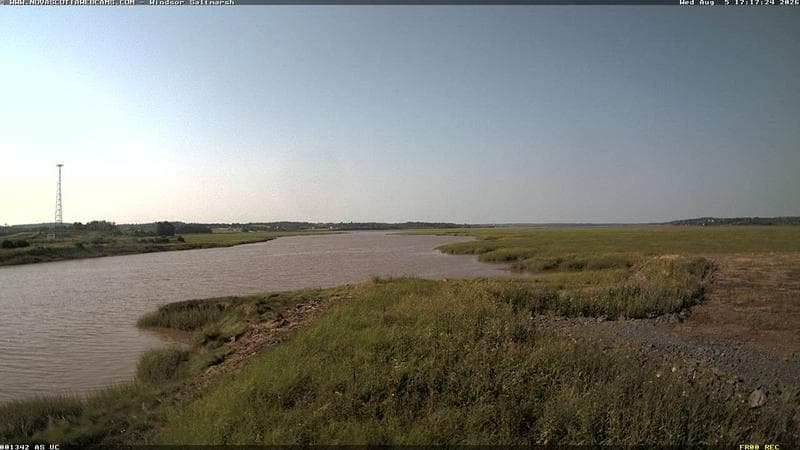 Windsor Salt Marsh