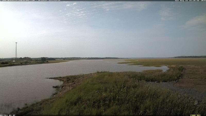 Windsor Salt Marsh
