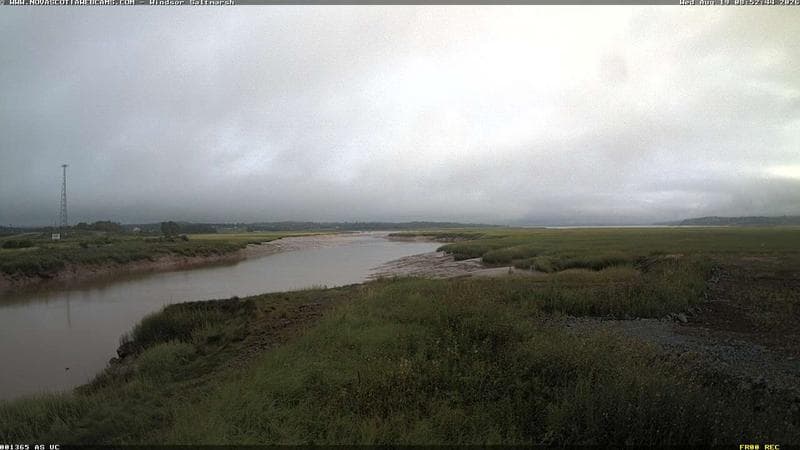 Windsor Salt Marsh