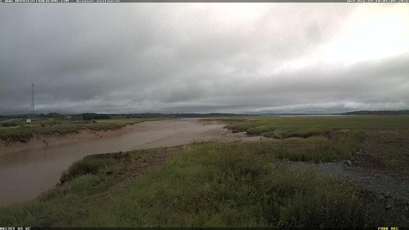 Windsor Salt Marsh