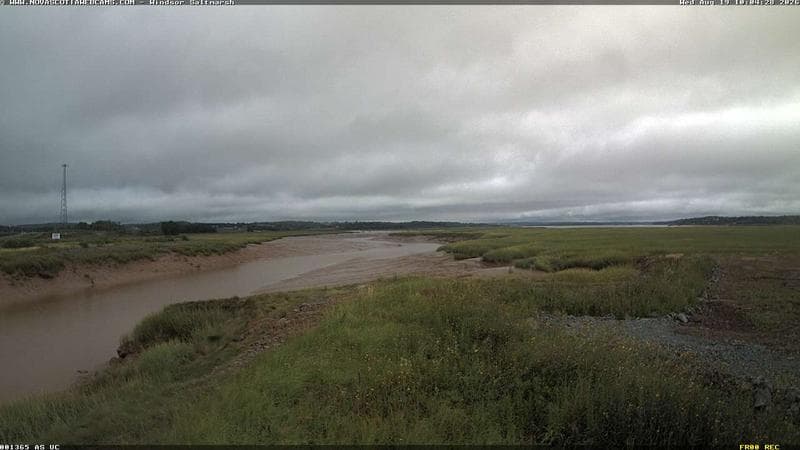Windsor Salt Marsh