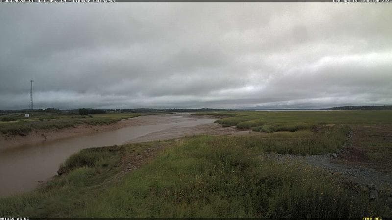 Windsor Salt Marsh