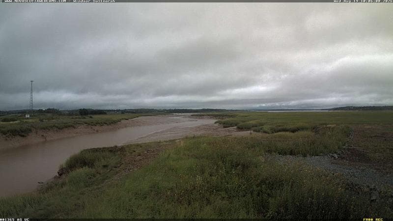 Windsor Salt Marsh