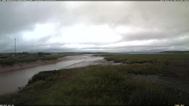 Windsor Salt Marsh