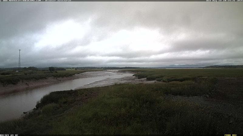 Windsor Salt Marsh