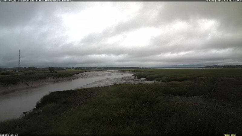 Windsor Salt Marsh