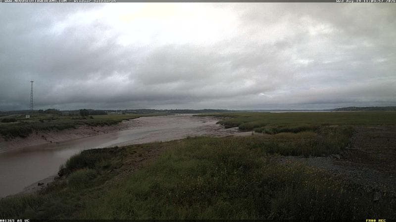 Windsor Salt Marsh