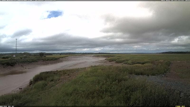 Windsor Salt Marsh