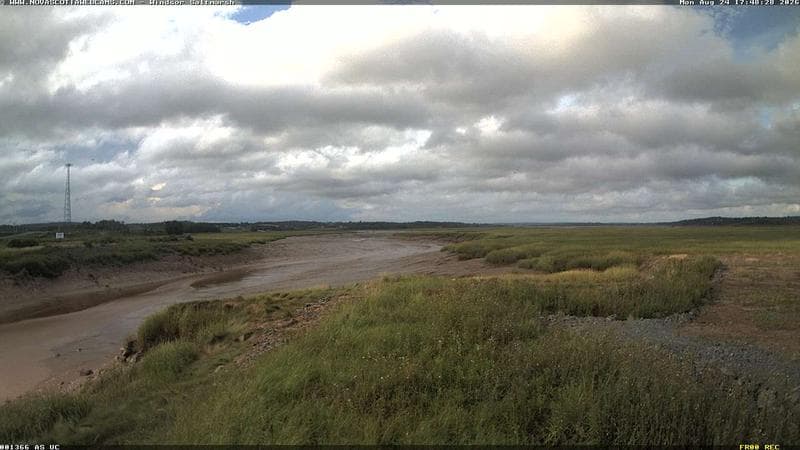 Windsor Salt Marsh