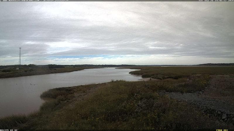 Windsor Salt Marsh