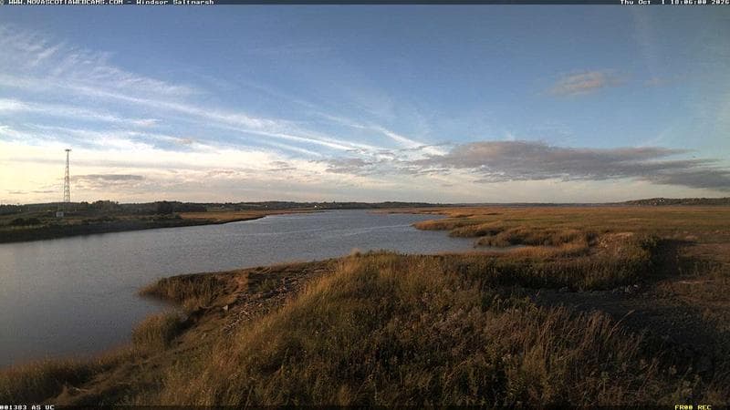 Windsor Salt Marsh
