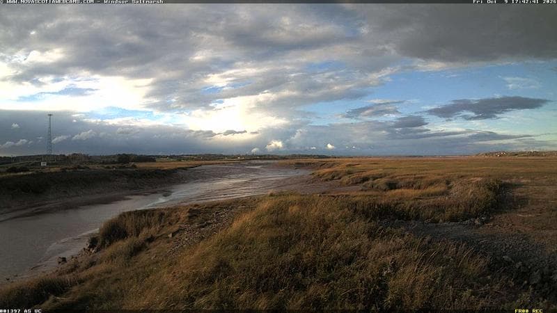 Windsor Salt Marsh