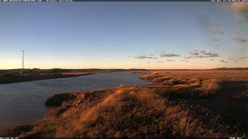 Windsor Salt Marsh