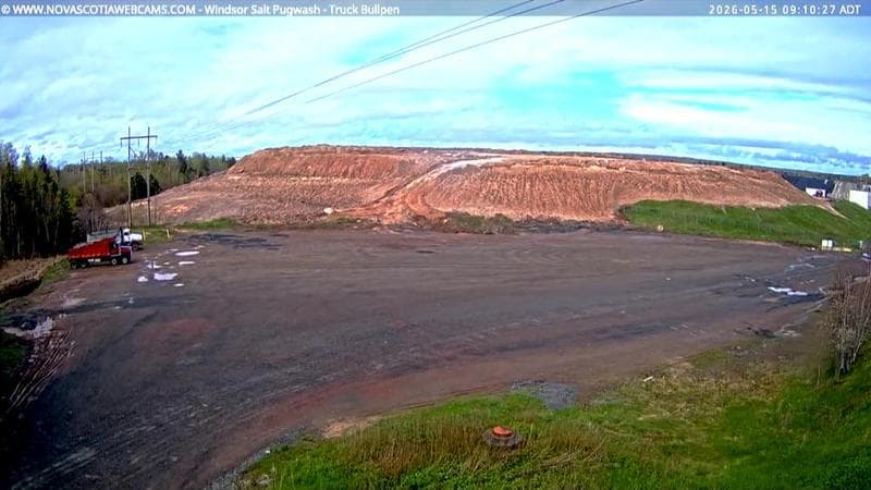 Windsor Salt