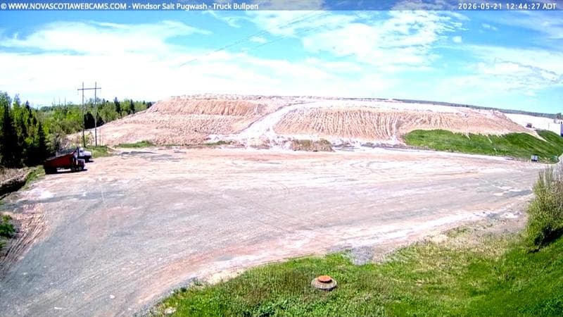 Windsor Salt