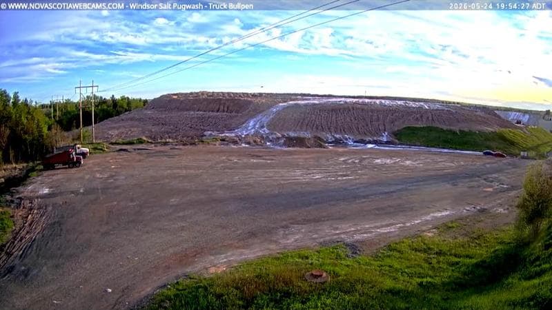 Windsor Salt