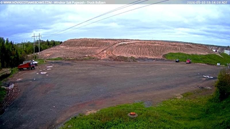 Windsor Salt