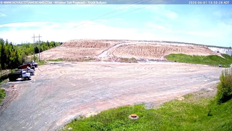 Windsor Salt