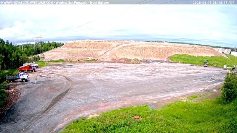 Windsor Salt