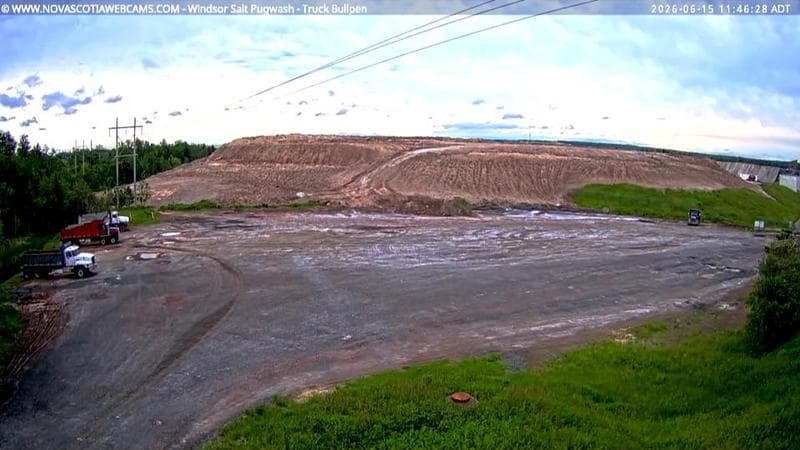 Windsor Salt